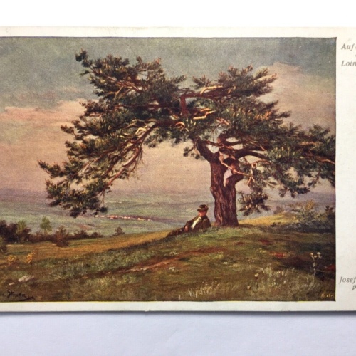 Auf einsamer Höhe (J. Straka) - Mann auf Alm unter Baum - Künstlerkarte 30160 TH