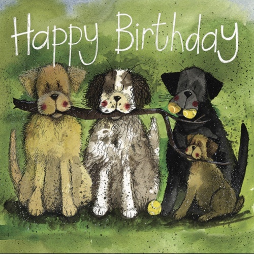 Alex Clark Hunde Park Life zum Geburtstag  140x140 mm incl. Umschlag   0009
