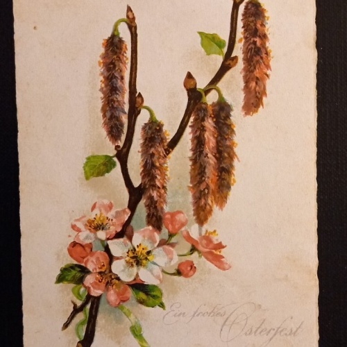 Ein Frohes Osterfest Osterblume 600788A Ga G