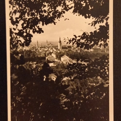 Wels Willi Jungmeier 600759A Ga G