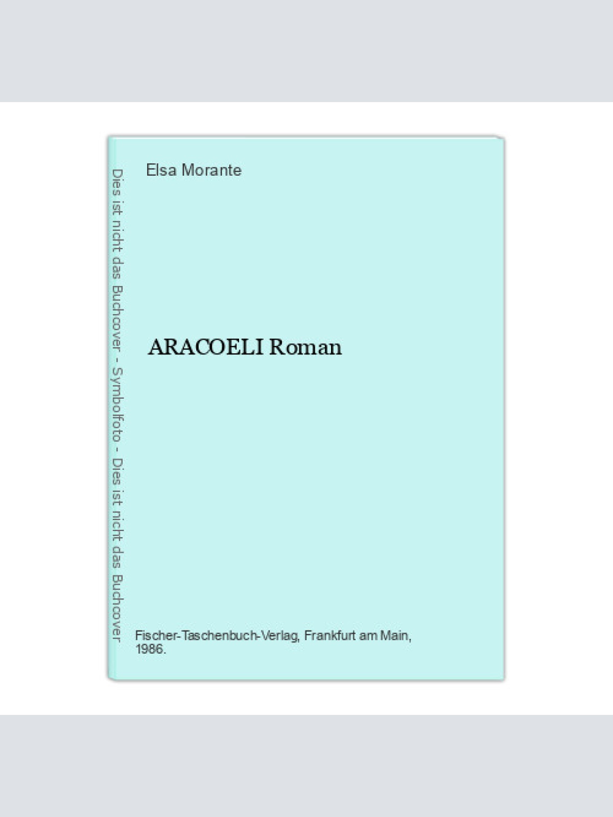 1387 Elsa Morante ARACOELI Roman Liebesbeziehungen Geschichte eines Mannes