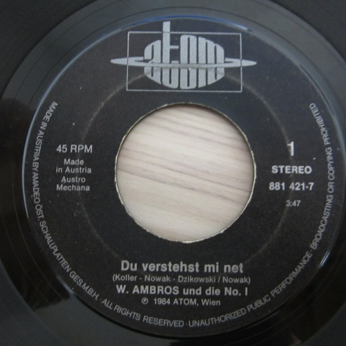 Single /   W. Ambros ?– Du Verstehst Mi Ned  /  AUT  PRESS  / RAR /