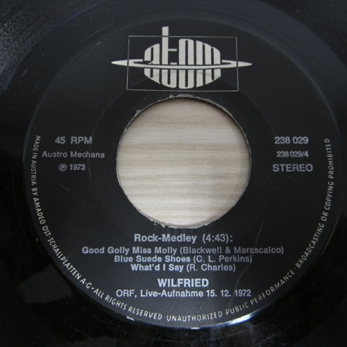 Single /    Wilfried ?– Mary, Oh Mary    /  AUT  PRESS  / RAR /