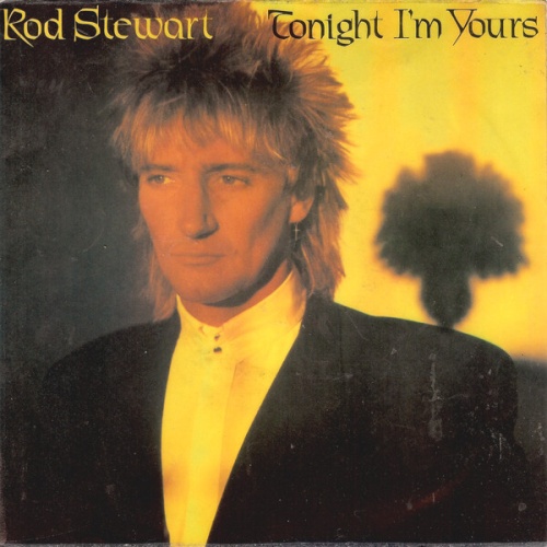 Rod Stewart - Tonight I'm Yours (7", Single)