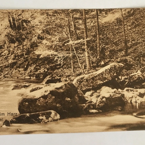 AK, Sachsen, Jisenburg, Harz, Jisetal, Landschaft (40051 BW)