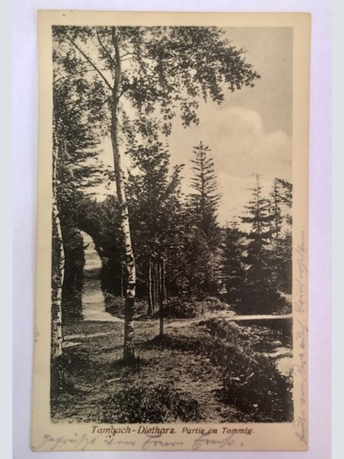 Ak, Thüringen, Tambach, Dietharz, Wald (40074 BW) G