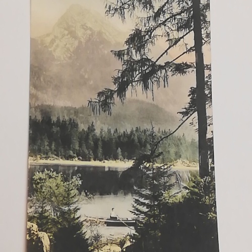 Salzburg Hintersee Berg Boot See Wald 600311A tl