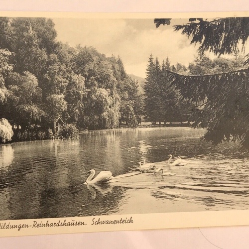 AK, Hessen, Bad Wildungen, Reinhartshausen, Schwanenteich (40007 BW)