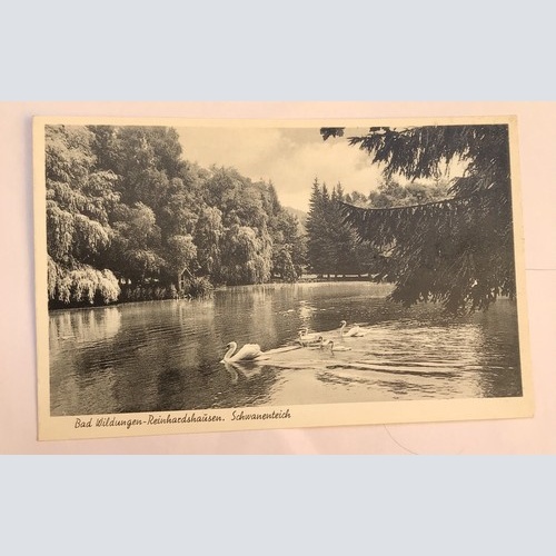 AK, Hessen, Bad Wildungen, Reinhartshausen, Schwanenteich (40007 BW)