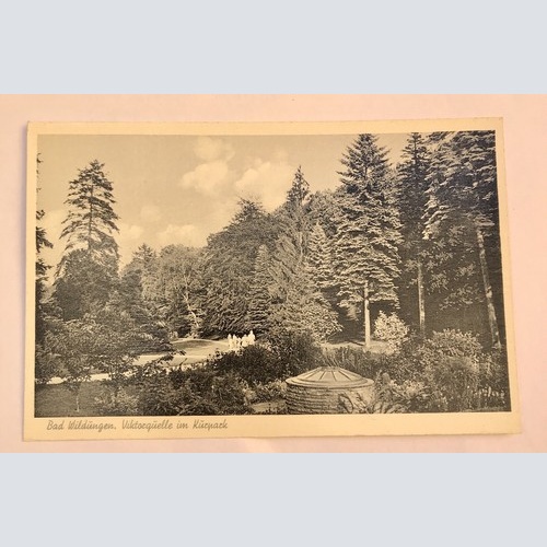 AK, Hessen, Bad Wildungen, Viktorquelle, Kurpark (40009 BW)