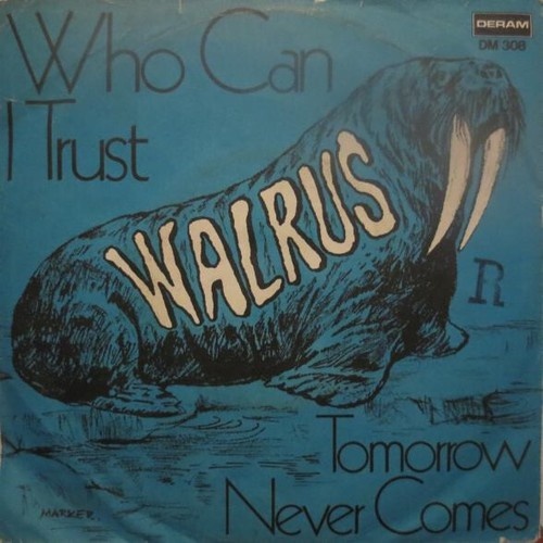 Walrus (4) - Who Can I Trust (7", Single)
