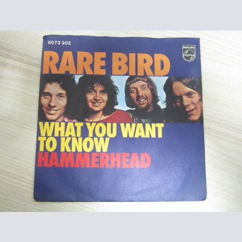 Single / Rare Bird ?– What You Want To Know  / PROG.ROCK / RARITÄT / 1971 / RAR