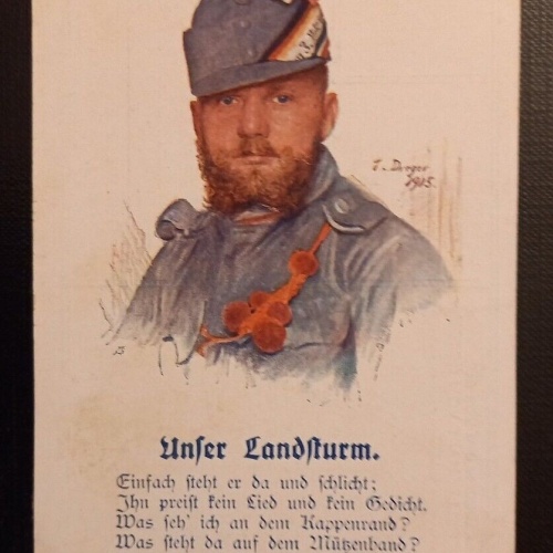 AK  Unser Landsturm Dr.Josef Bergauer Ga