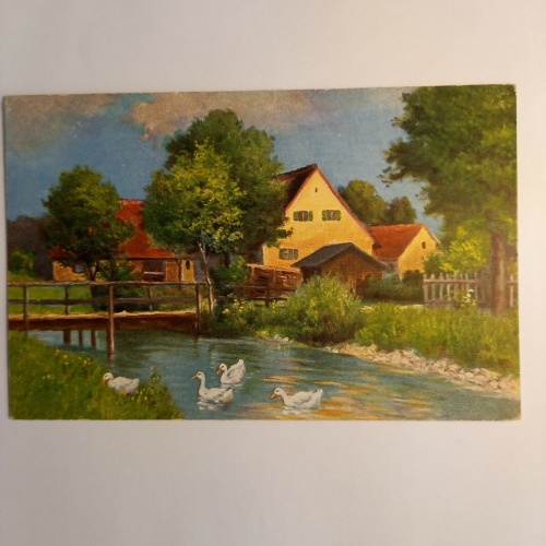 Schwäne im Fluss 180043 GR