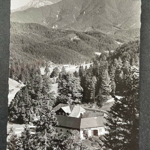 Alpengasthof Kalte Kuchl gg. Schneeberg Wirt Gebirge Niederösterreich 402677 C