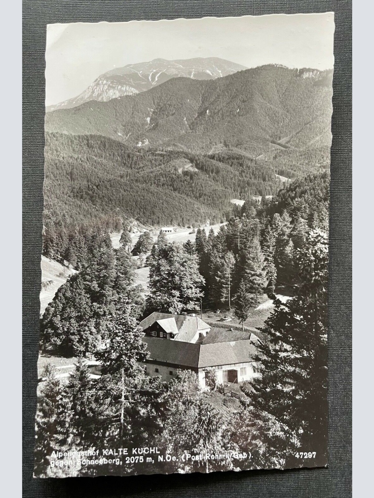 Alpengasthof Kalte Kuchl gg. Schneeberg Wirt Gebirge Niederösterreich 402677 C