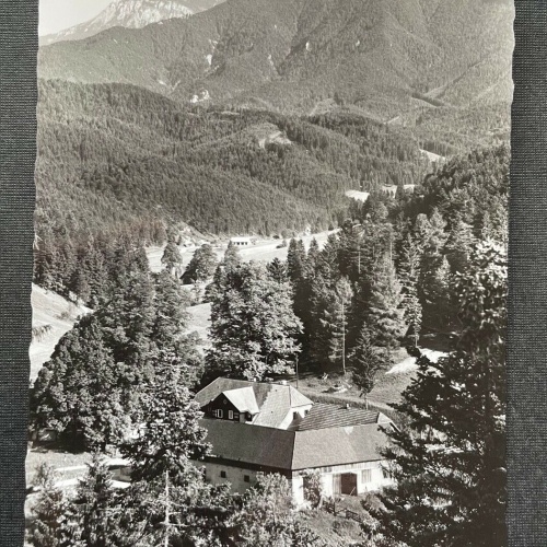Alpengasthof Kalte Kuchl gg. Schneeberg Wirt Gebirge Niederösterreich 402677 C