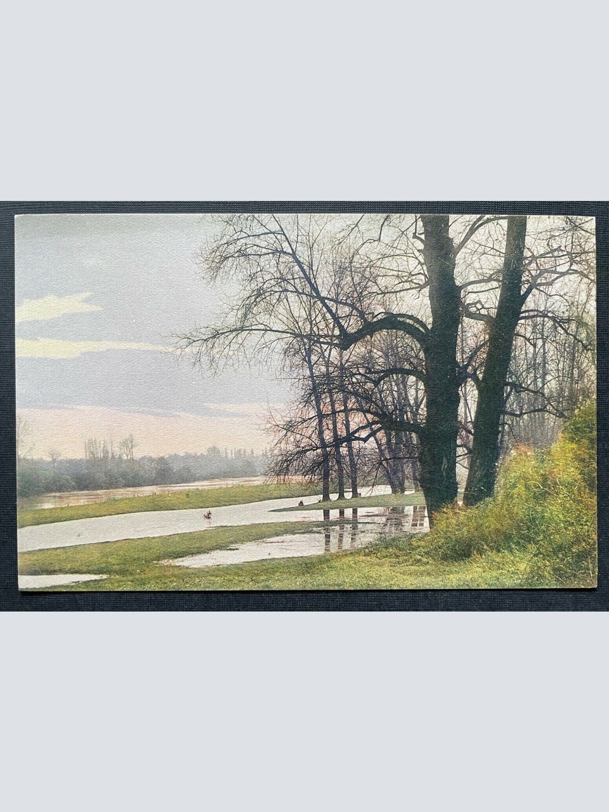 A L'oree Du Bois Am Waldrand Baum Natur Malerei Frankreich 402638 TH C