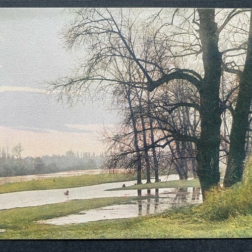 A L'oree Du Bois Am Waldrand Baum Natur Malerei Frankreich 402638 TH C