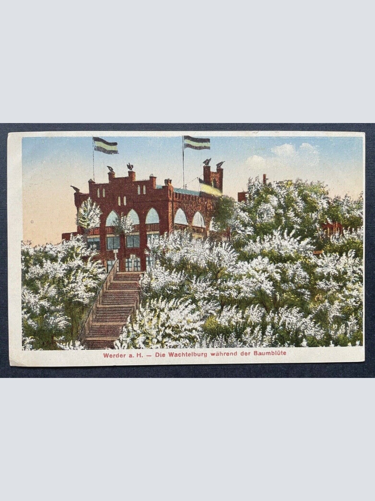 Werder a.H. Wachtelburg während Baumblüte Fest Brandenburg Deutschland 402645 C