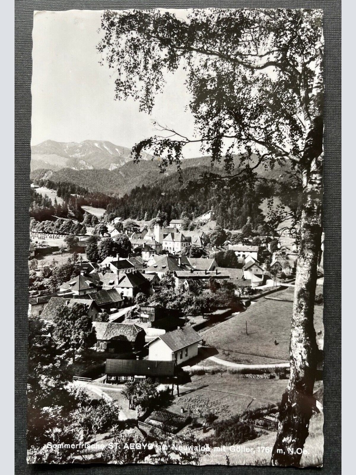 Sommerfrische St.Aegyd am Neuwalde Göller Ortschaft Niederösterreich 402678 TH C