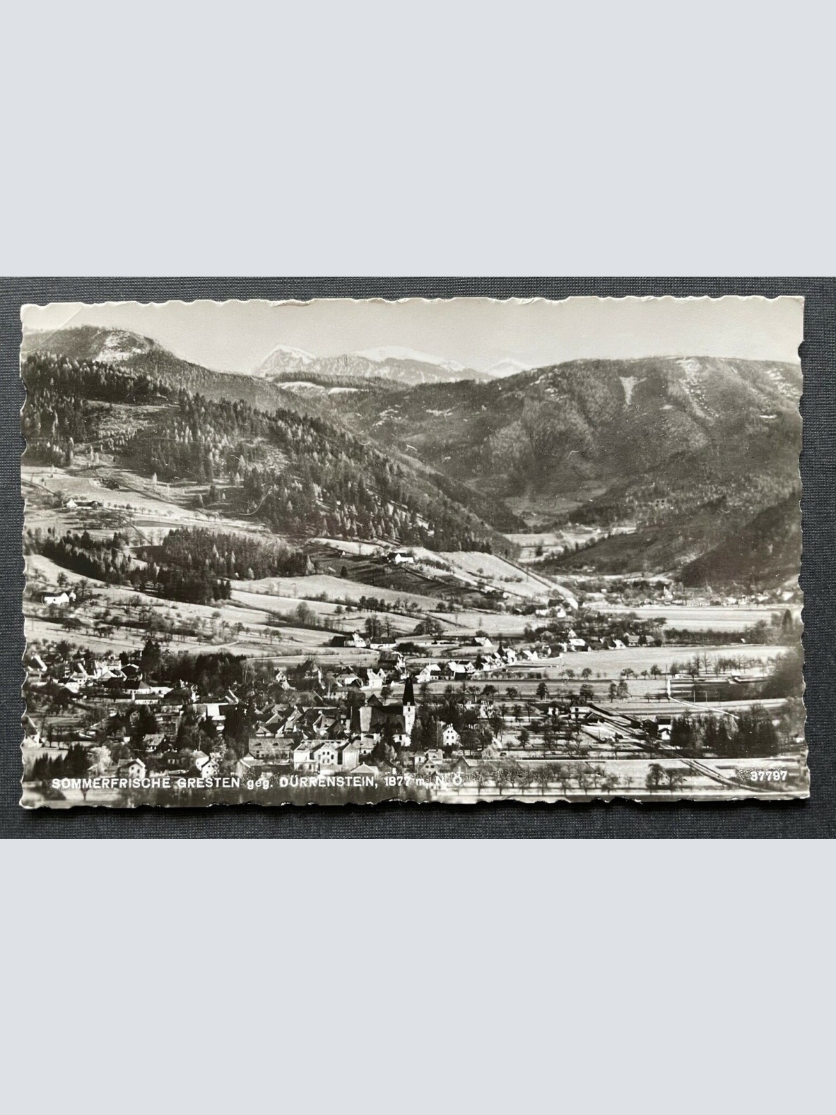 Sommerfrische Gresten gg.Dürrenstein Ort Gebirge Berg Niederösterreich 402667 C