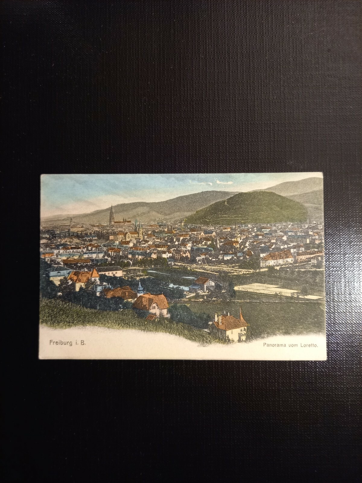 Freiburg i.B. Panorama vom Loretto 410621 gr C