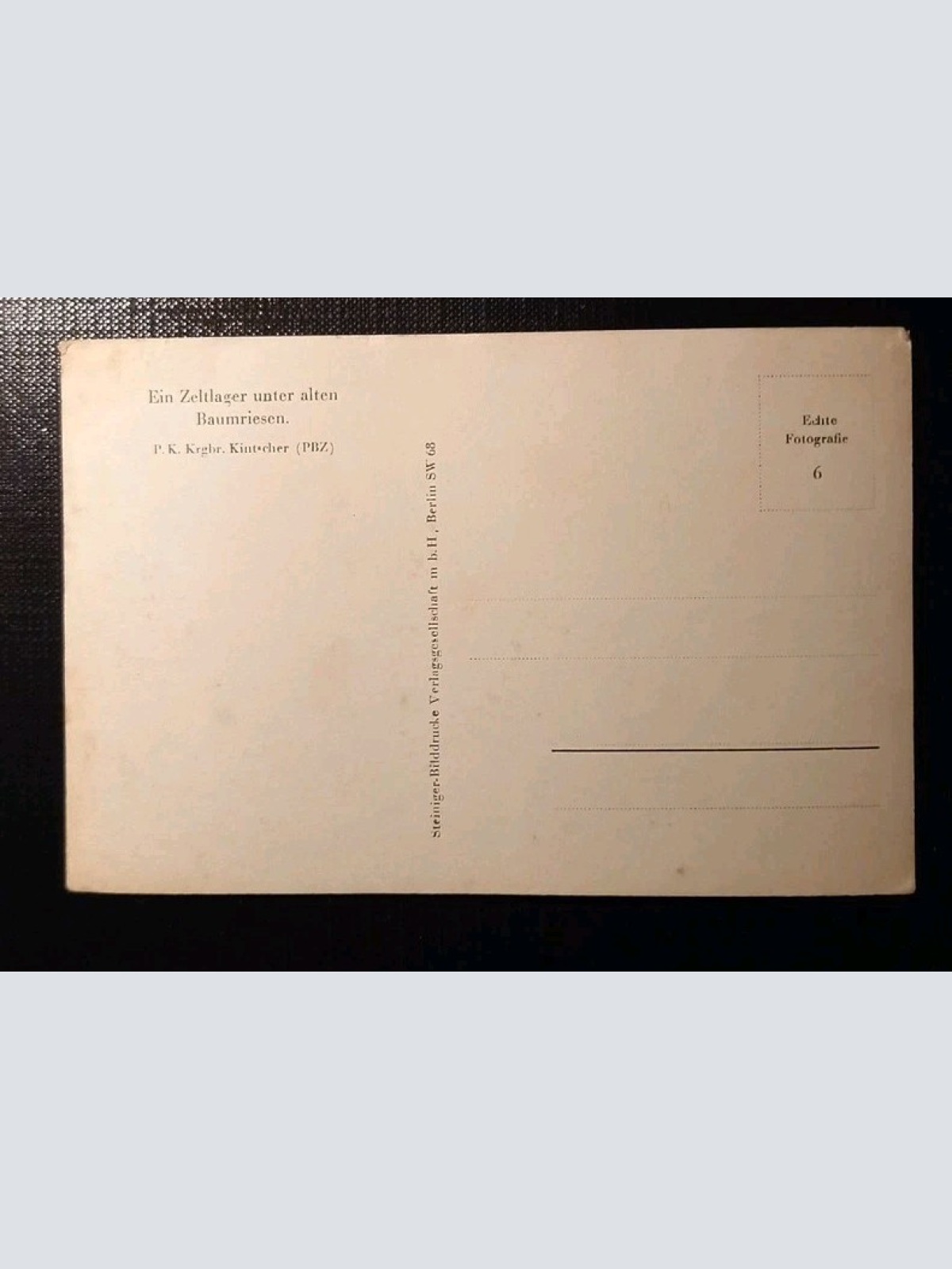 Zeltlager Unter Alten Baumriesen 402447 H Gr