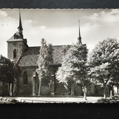 Rendsburg - St.-Marien-Kirche - Bäume 180133 TH