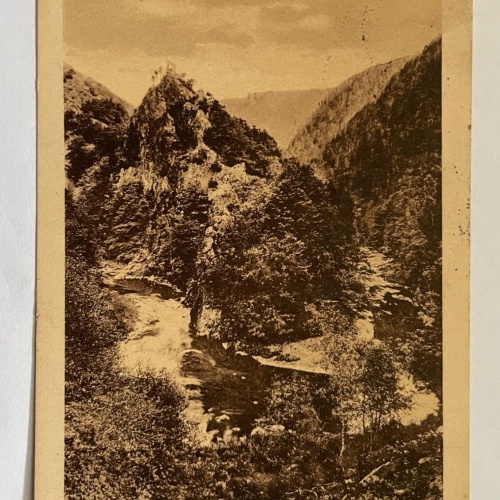 Bodetal Heuscheunenrücken Berg Harz Sachsen-Anhalt Deutschland 40039 K TH