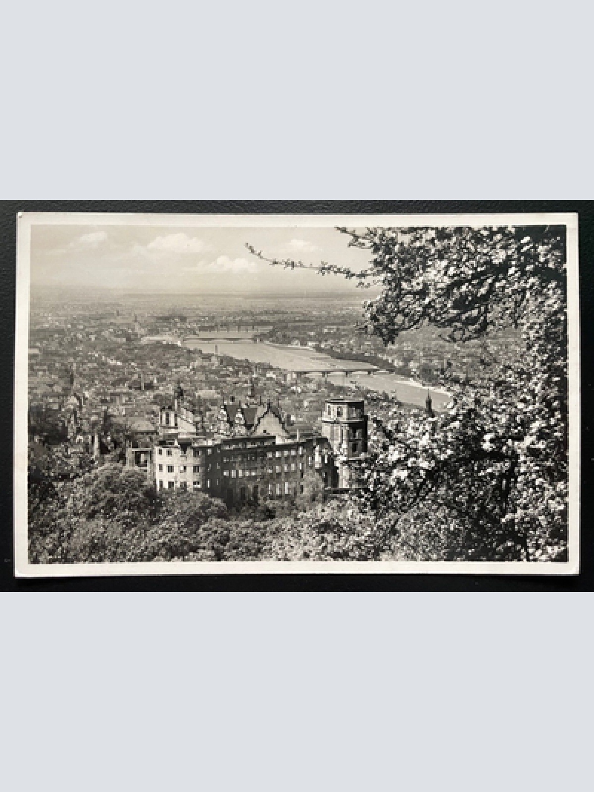 Ansichtskarte Frühling Heidelberg Stadtblick Gedicht Baden-Württemberg