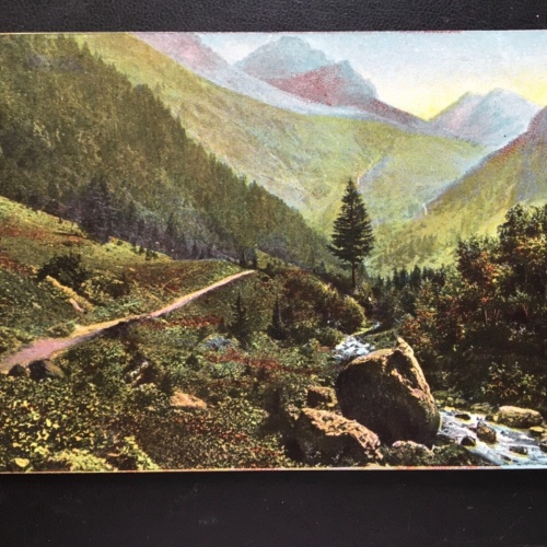 Berglandschaft - Bach - Nadelbaum - Gebirge 180188 TH G