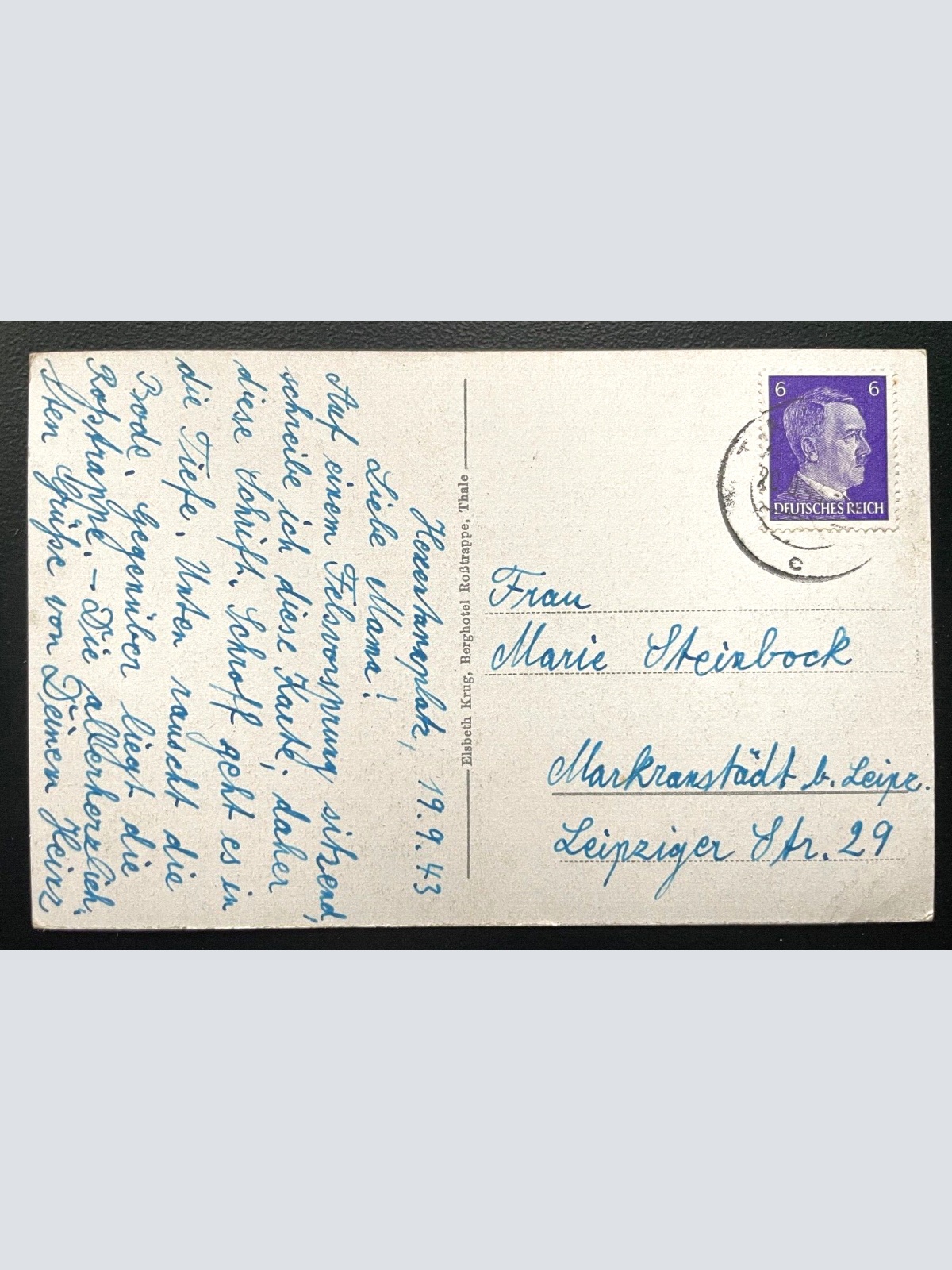 Bodetal Thale Harz Rofstrappenfelsen Berg Sachsen-Anhalt Deutschland 600134A D