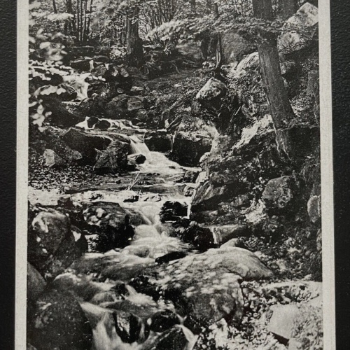 Luftkurort Stecklenberg Harz Am Wurmbach Sachsen-Anhalt Deutschland 600133A TH D