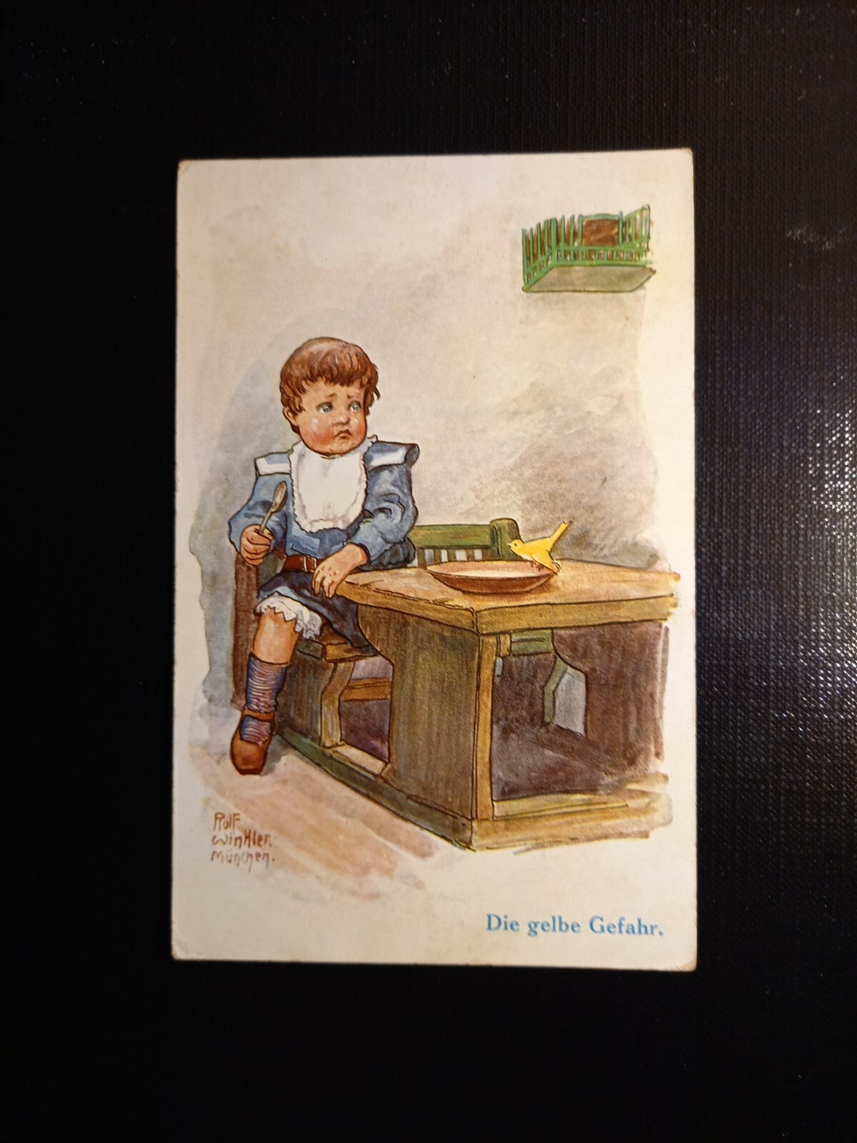 Die gelbe Gefahr, Bub mit Vogel  410276 gr C