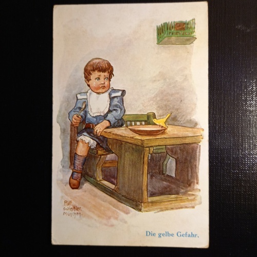 Die gelbe Gefahr, Bub mit Vogel  410276 gr C
