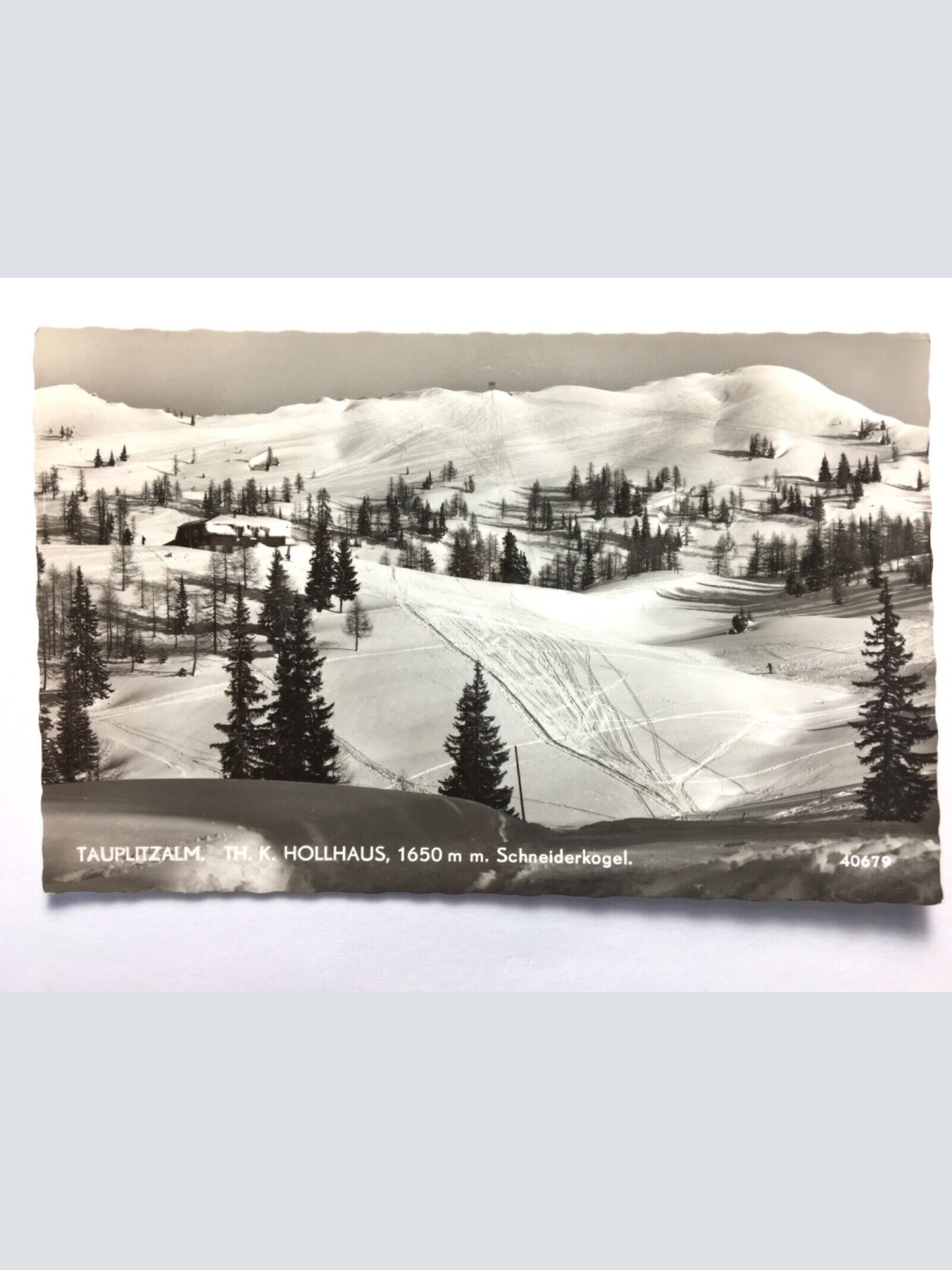 Tauplitzalm - Th.K. Hollhaus - Schneiderkogel 50035 TH D