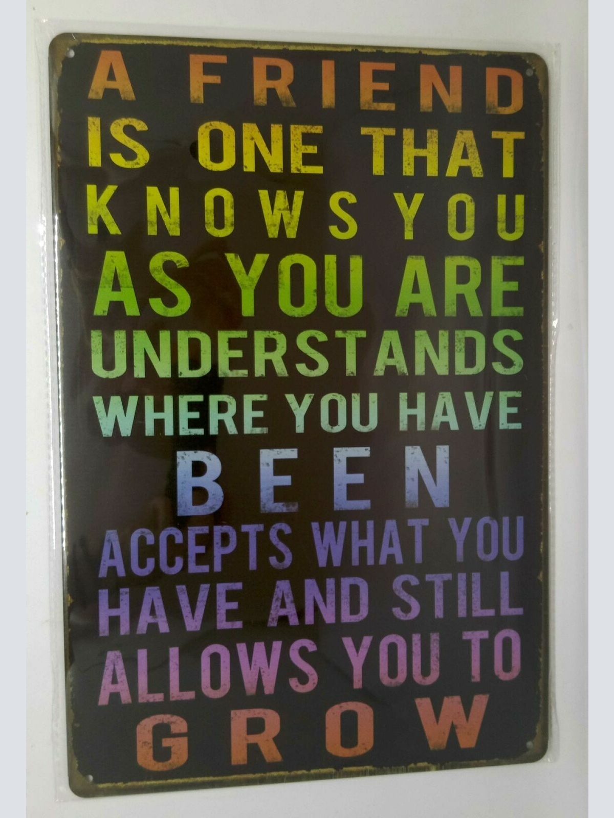 Nostalgie Retro Blechschild Spruch Freundschaft Friends 30x20 50183