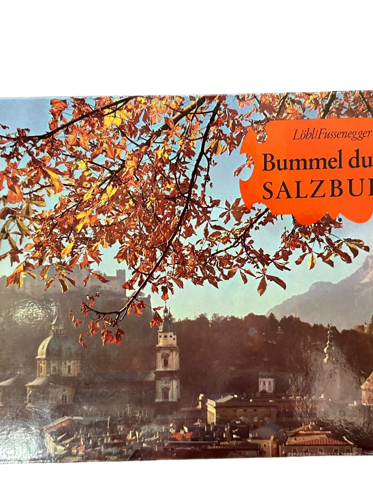 7403 Gertrud Fussenegger BUMMEL DURCH SALZBURG HC Süddt. Verlag