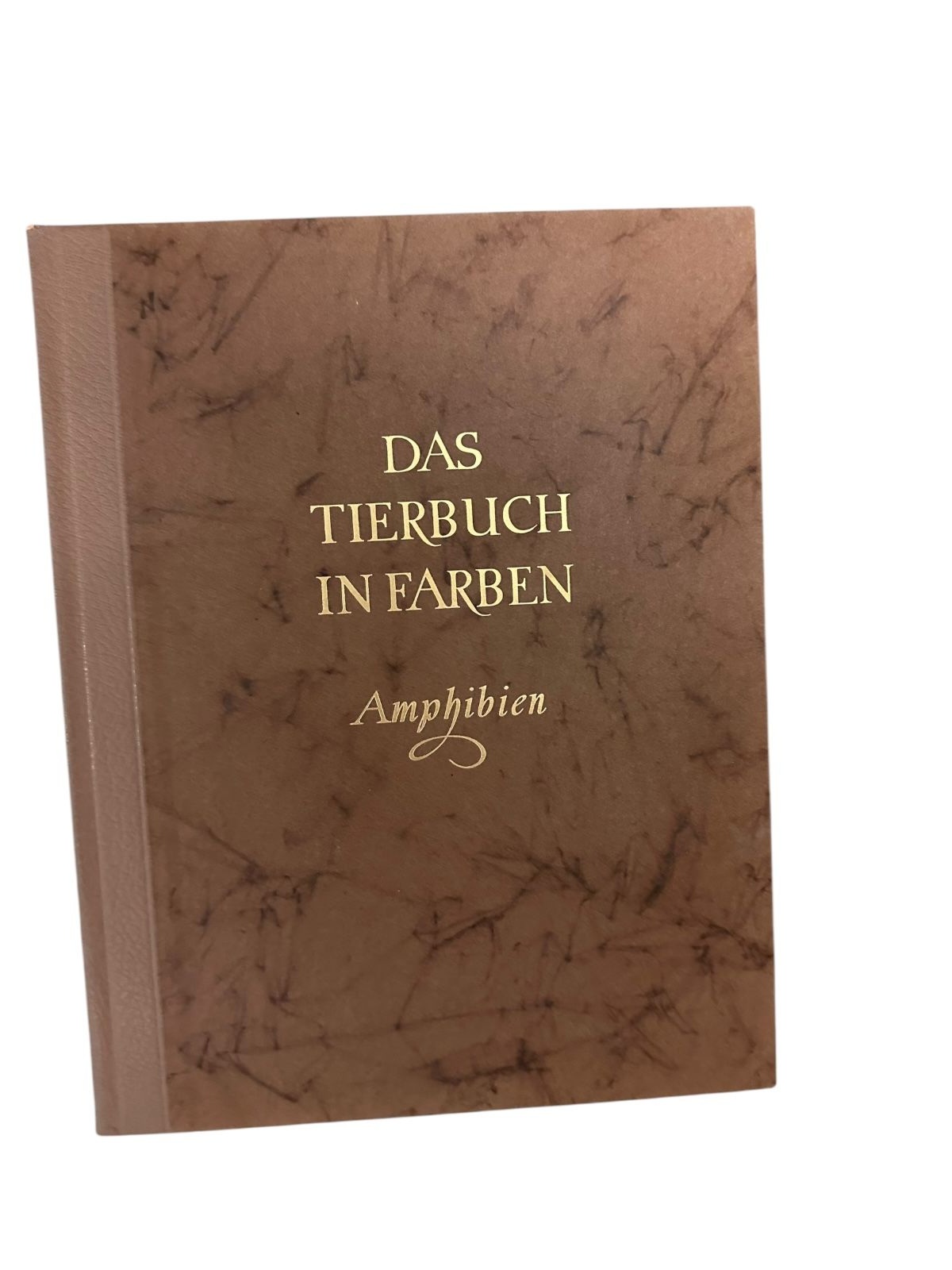 9072 Doris M. Cochran AMPHIBIEN HC +Abb