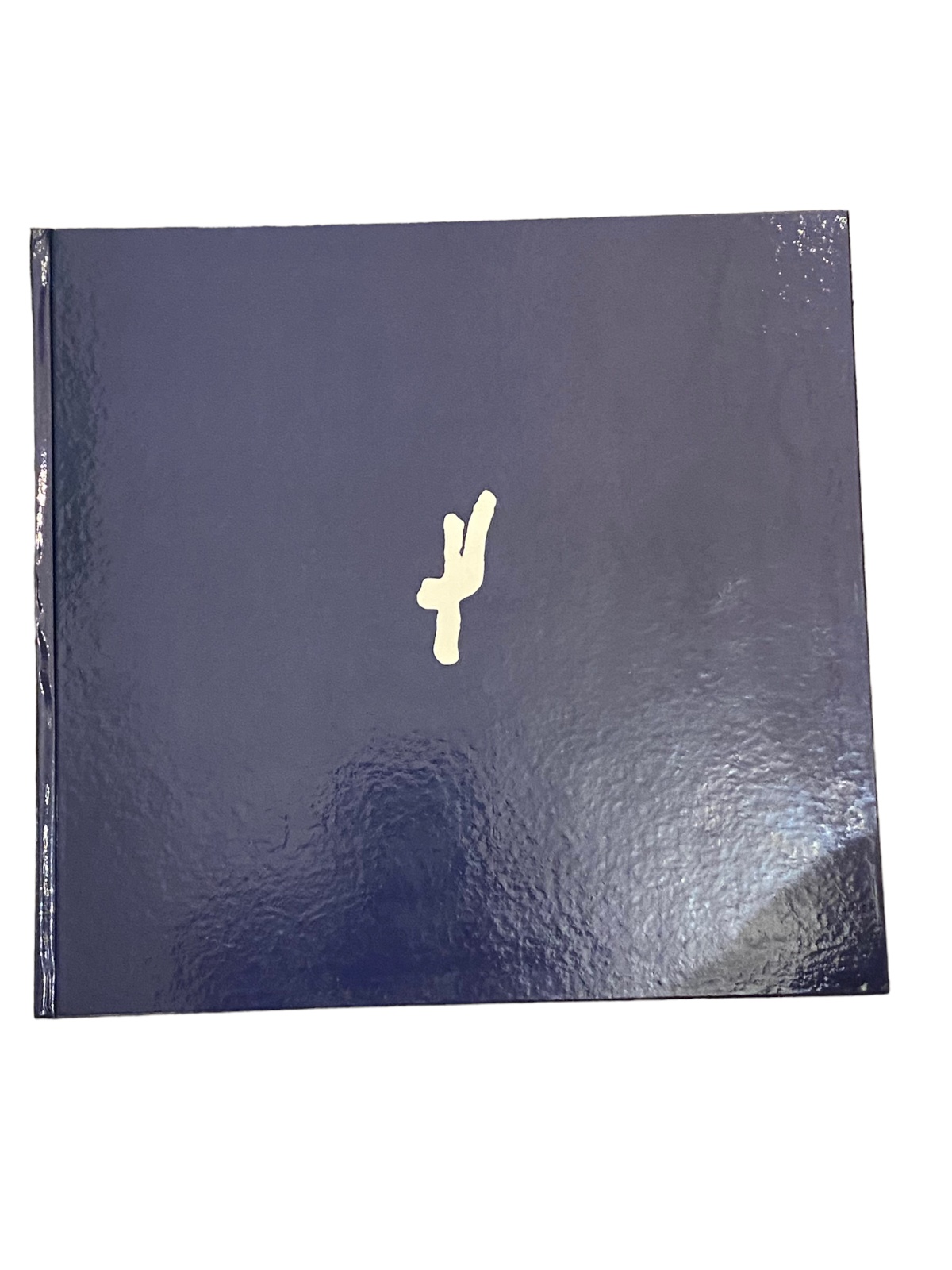 4561 Albin Rohrmoser DER MALER JOSEF SCHULZ 1893-1973 HC +Abb