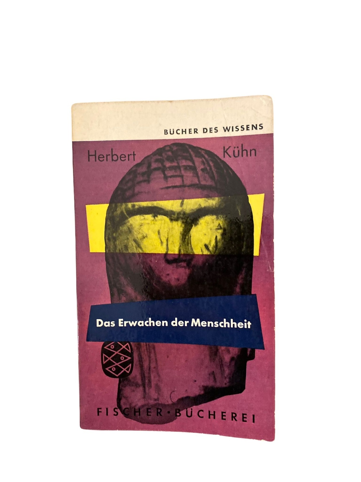 1871 Herbert Kühn DAS ERWACHEN DER MENSCHHEIT +Abb Bücher des Wissens