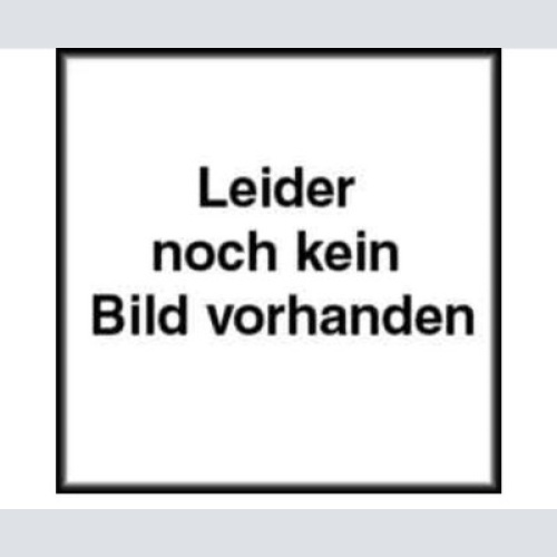 1119 REMBRANDT VAN RIJN, ALBRECHT DÜRER, LEONARDO DA VINCI HC