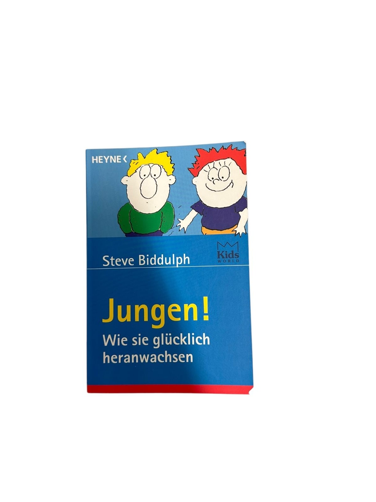 6744 Steve Biddulph JUNGEN!: WIE SIE GLÜCKLICH HERANWACHSEN