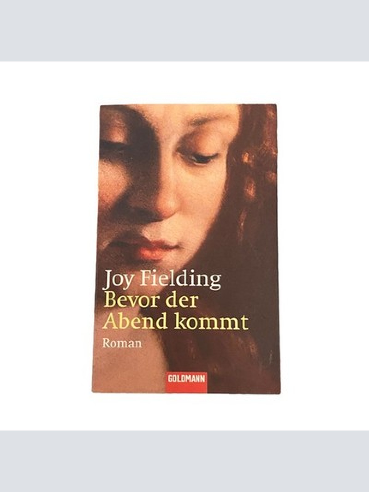 3497 Joy Fielding BEVOR DER ABEND KOMMT: ROMAN Goldmann