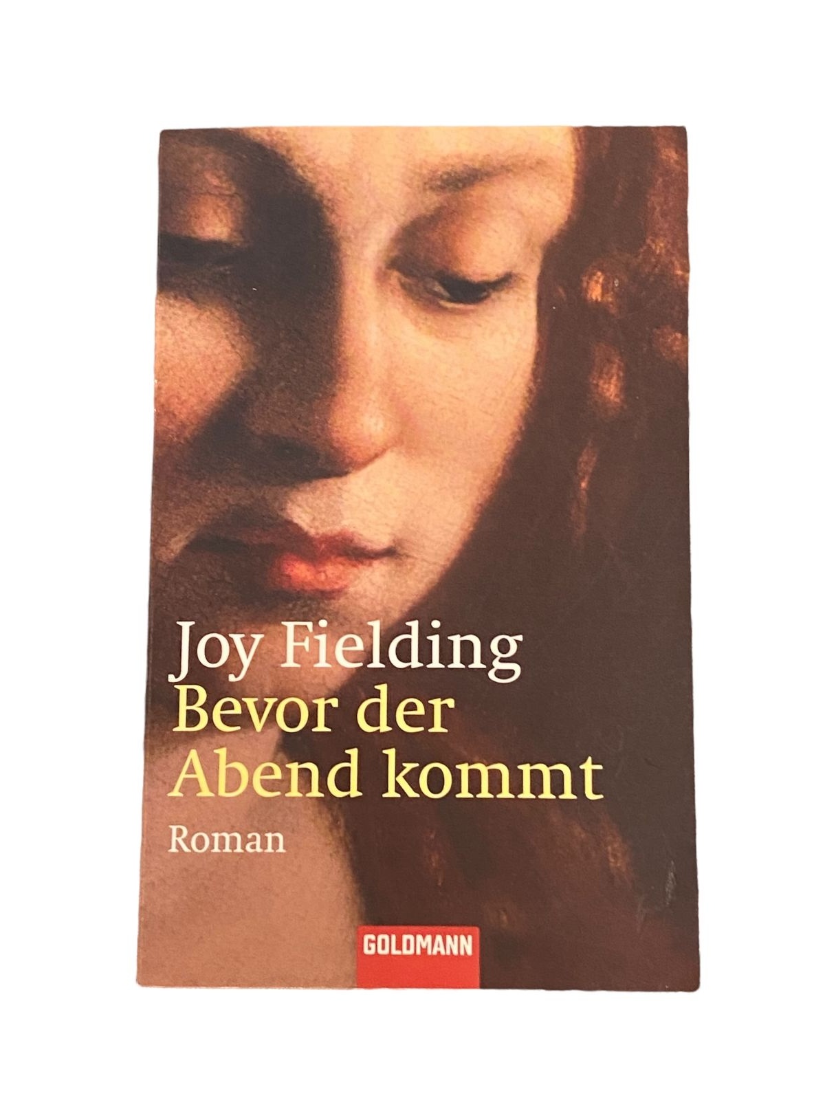 3497 Joy Fielding BEVOR DER ABEND KOMMT: ROMAN Goldmann