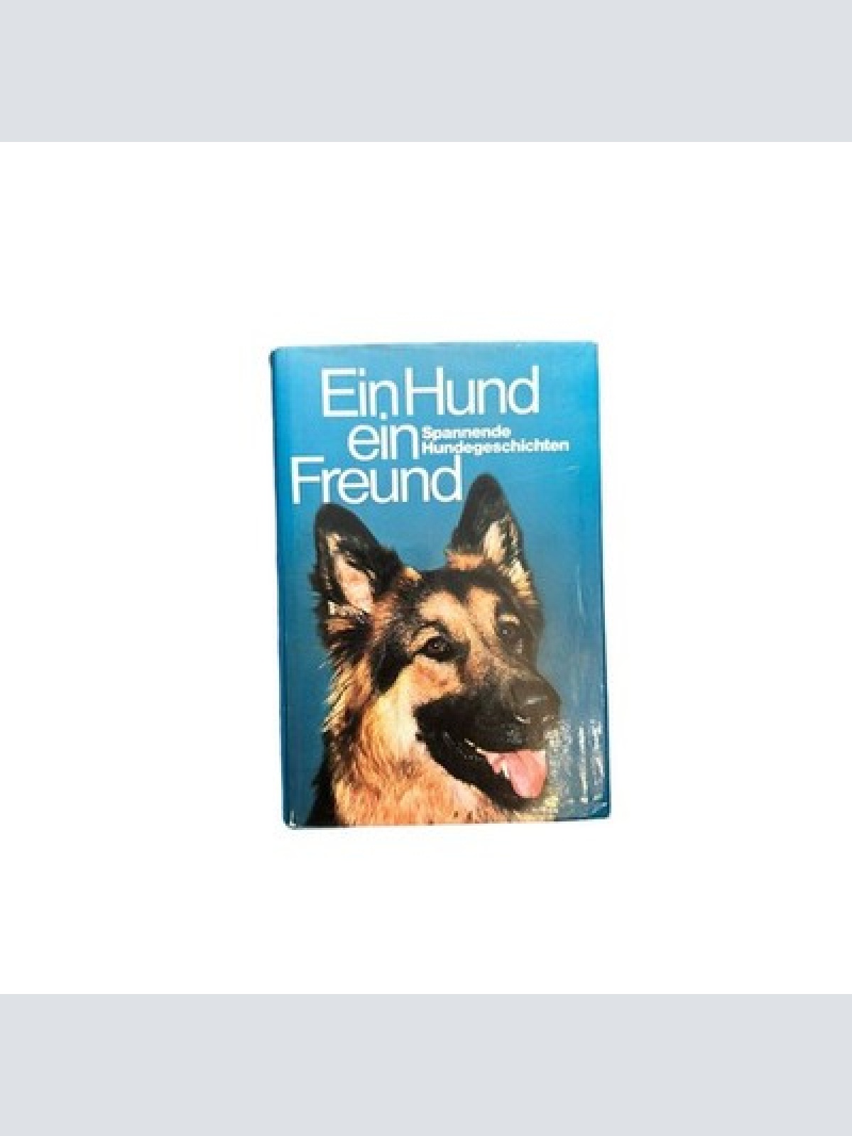 6978 EIN HUND, EIN FREUND: SPANNENDE HUNDEGESCHICHTEN HC +Abb