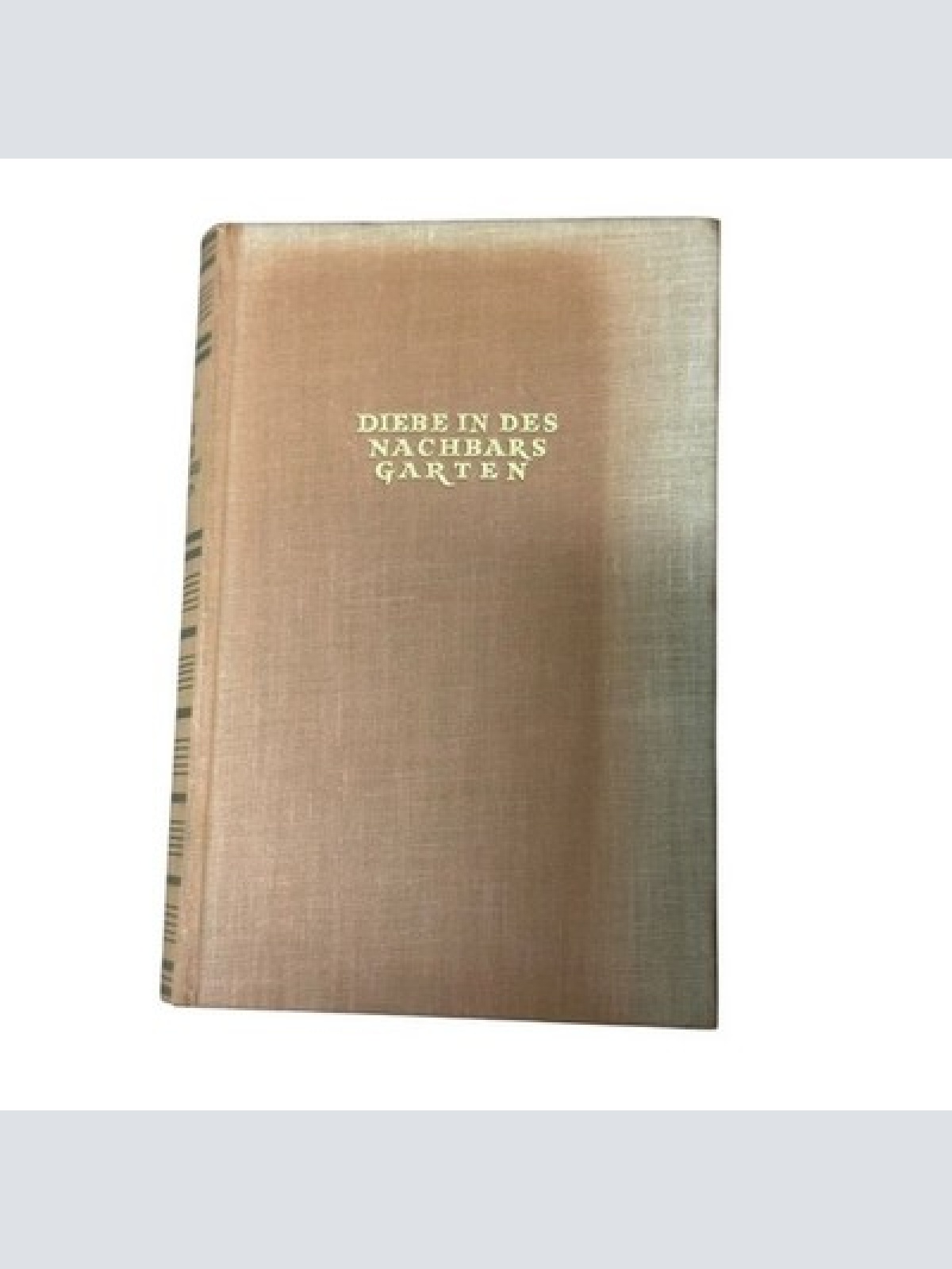 8740 Stijn Streuvels DIEBE IN DES NACHBARS GARTEN Roman HC