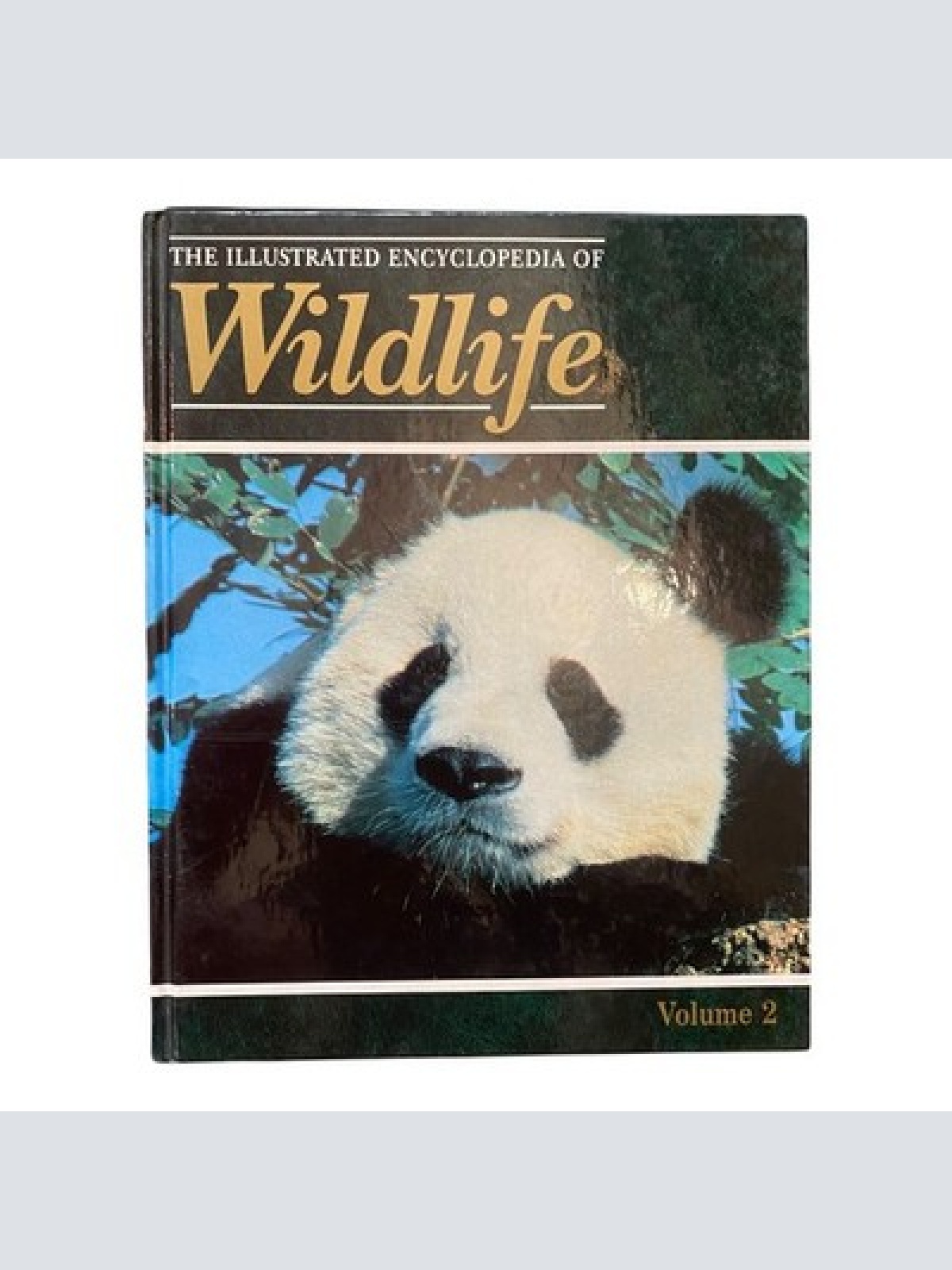 587 THE ILLUSTRATED ENCYCLOPEDIA OF WILDLIFE Volume 2 HC